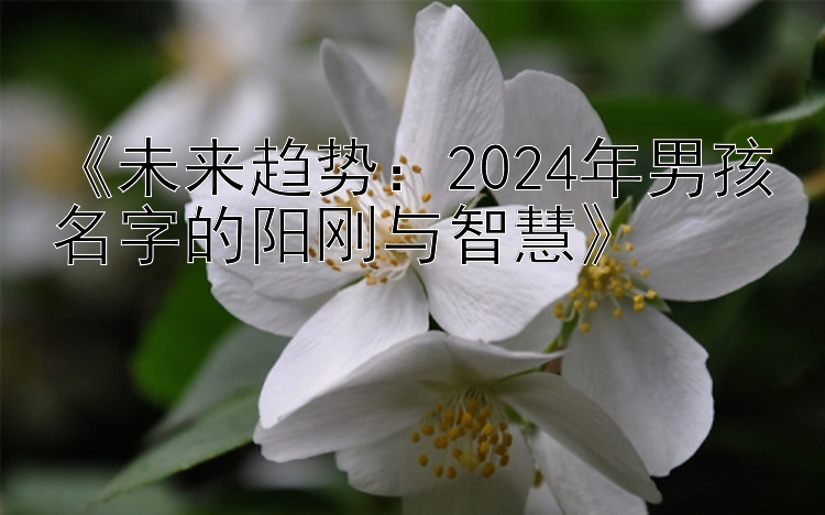 《未来趋势：2024年男孩名字的阳刚与智慧》