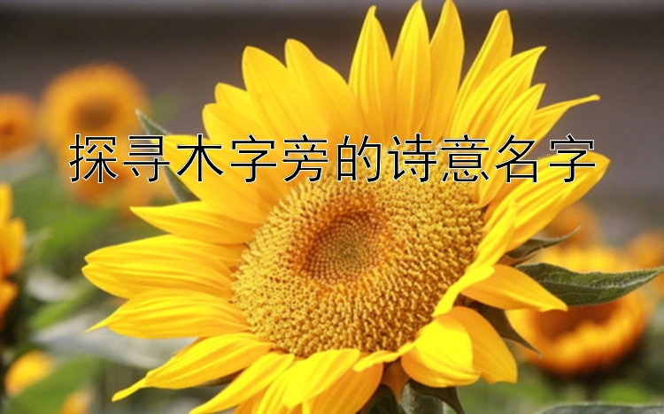 探寻木字旁的诗意名字