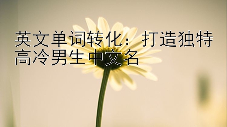 英文单词转化：打造独特高冷男生中文名