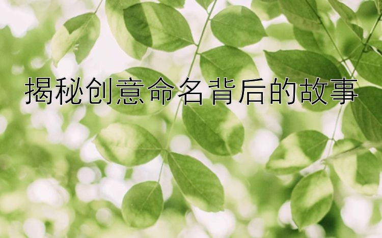 揭秘创意命名背后的故事