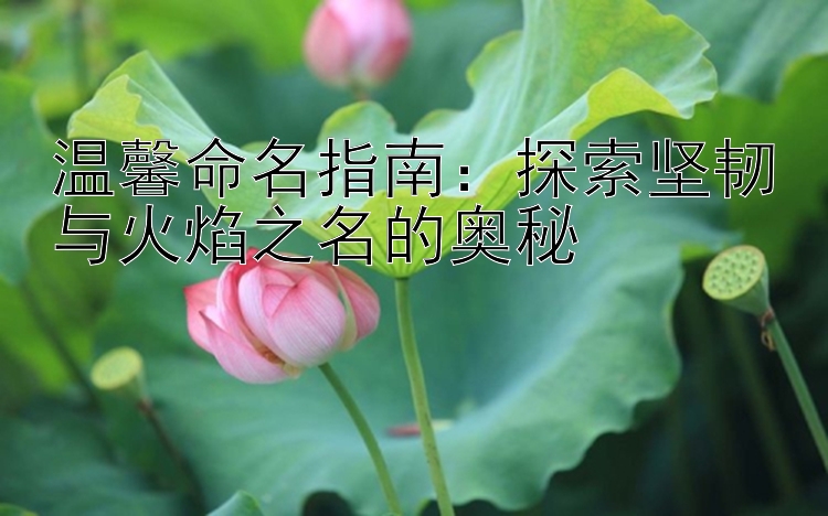 温馨命名指南：探索坚韧与火焰之名的奥秘