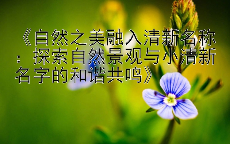 《自然之美融入清新名称：探索自然景观与小清新名字的和谐共鸣》