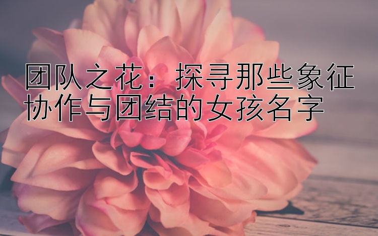 团队之花：探寻那些象征协作与团结的女孩名字