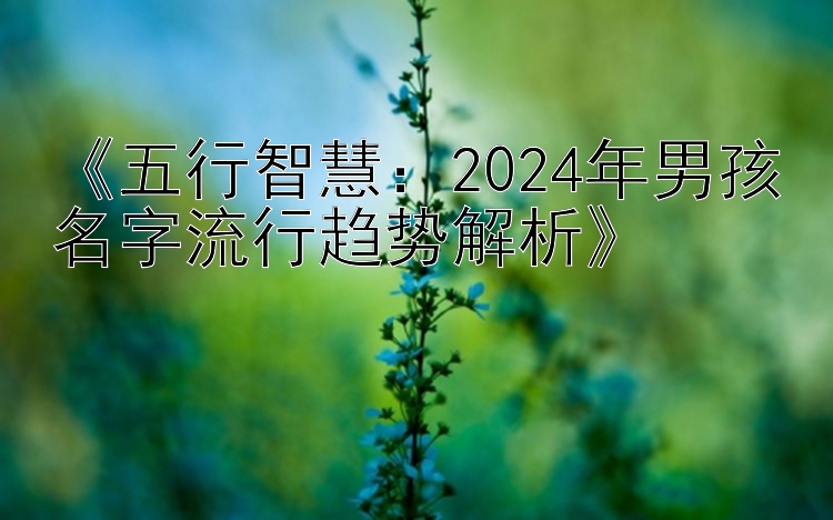 《五行智慧：2024年男孩名字流行趋势解析》