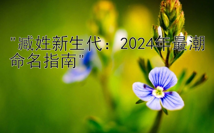 臧姓新生代：2024年最潮命名指南