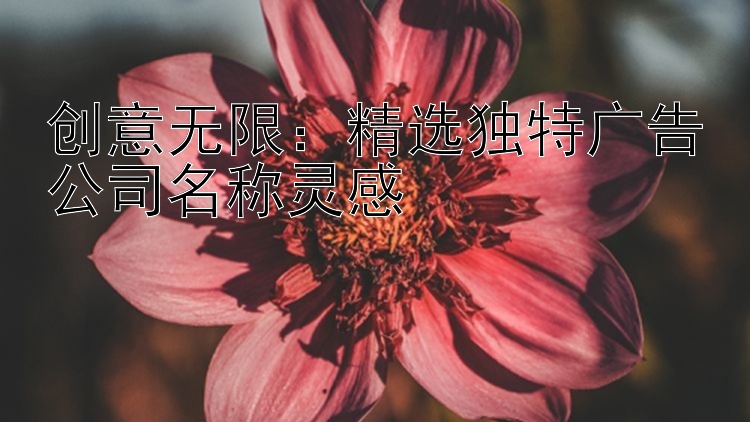 创意无限：精选独特广告公司名称灵感