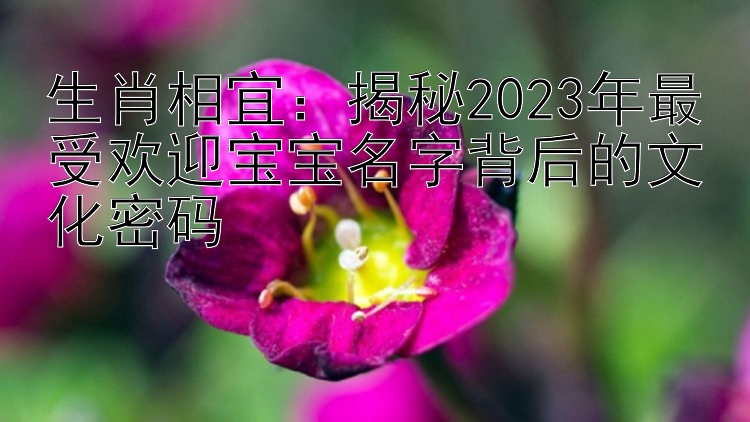 生肖相宜：揭秘2023年最受欢迎宝宝名字背后的文化密码