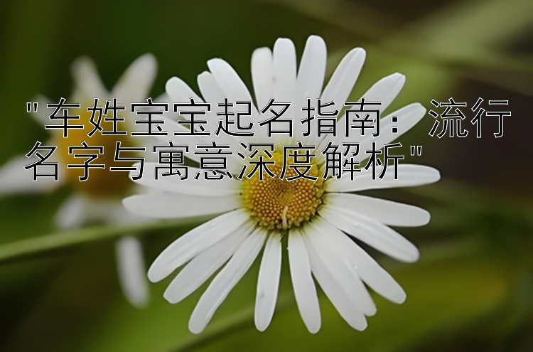 车姓宝宝起名指南：流行名字与寓意深度解析