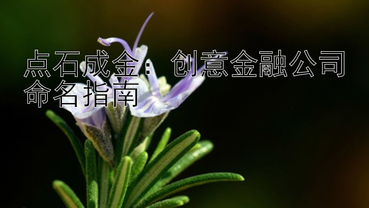 点石成金：创意金融公司命名指南