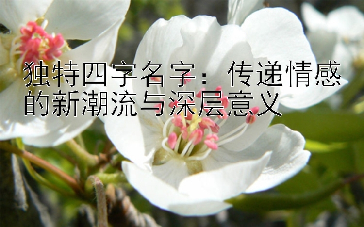 独特四字名字：传递情感的新潮流与深层意义