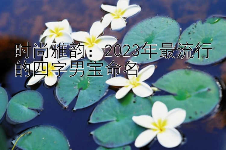 时尚雅韵：2023年最流行的四字男宝命名